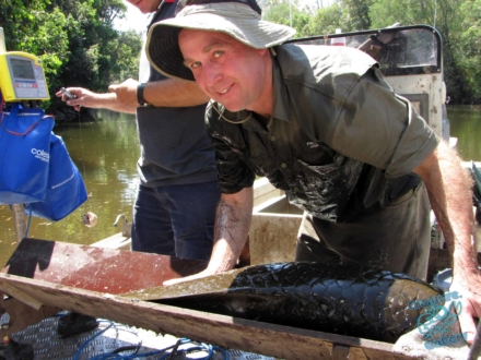 I worked with Seqwater producing content on tagging critically endangered Queensland Lungfish