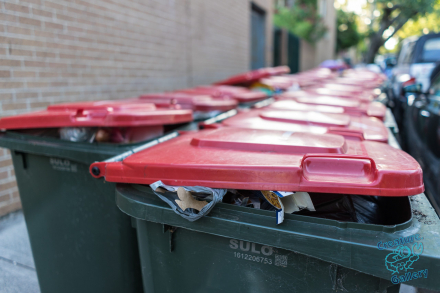 Row of Wheely Bins